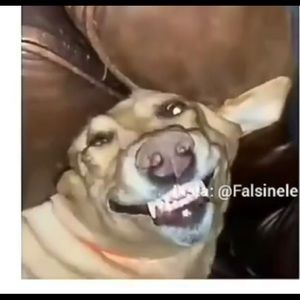 Meet your Posher, Aline